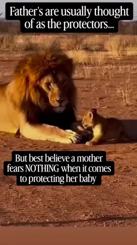 Trust me. Nothing will stop me. #singlemom #protector #fyp 