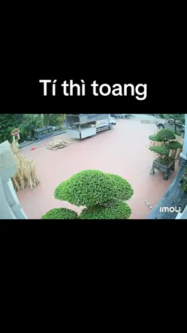 Phanh tay ko ăn . Tí thì mất xe cả nhà ạ