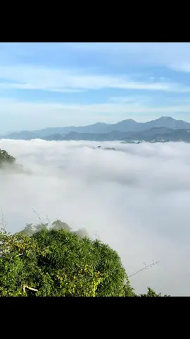 Do whatever  makes you happiest.🏔️⛰️⛅️⛈️🌴🌳🌵🌲🎄🎉❄️🙏🇹🇭#เทรนด์วันนี้ #วิวธรรมชาติสวยๆ #ทะเลหมอก #ท่าสองยาง🥀💗ตาก #เปิดการมองเห็น 