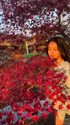 My lovely Japanese cousin 😍🥰#japanese #autumn #goldenhour #japan 