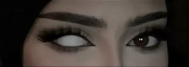 Life goes by like a fast train, waiting for no one and never returning. We didn't move forward, and our memories passed. without us realizing their beauty We lived every moment innocently, chasing our dreams, laughing from the bottom of our