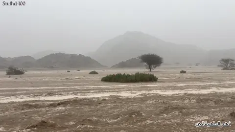 سيول نبط شمال ينبع يوم الاحد 7 ديسمبر 2025 #امطار_ينبع #لايك__explore___ #الوسم #وصل_العطياني #شعراء_وذواقين_الشعر_الشعبي 