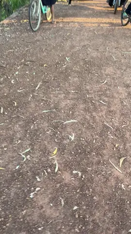 ផ្ទុះទៀតហេីយខ្លាំងណាស់បងប្អូនសារនេះ #viral #trending 