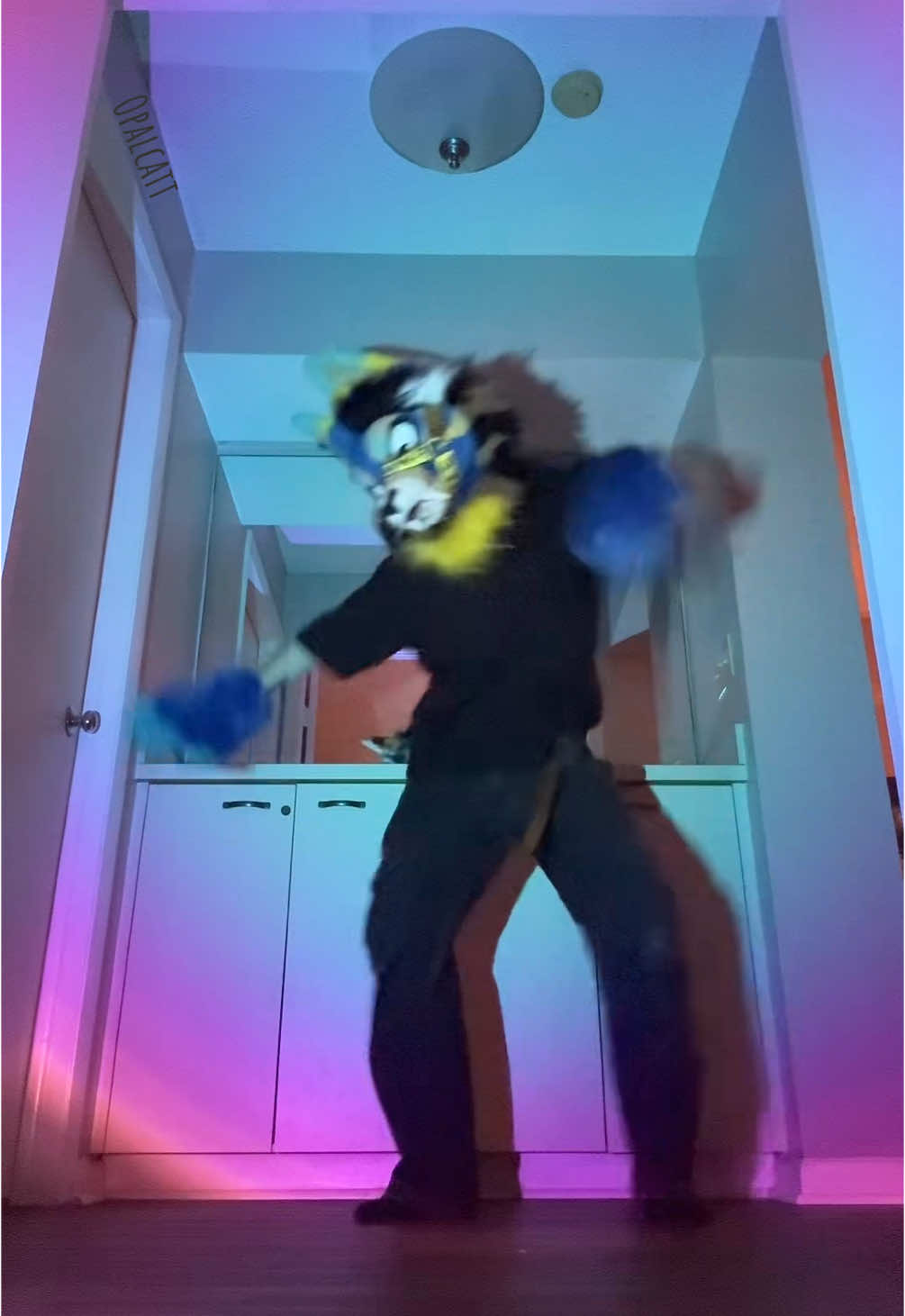 this trend has been all over my fyp 