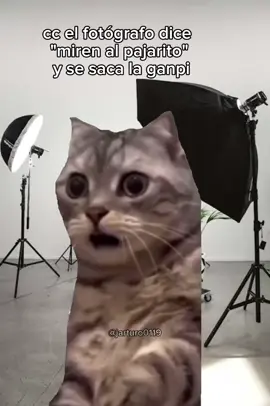 #fypシ゚ #humor #fyp 