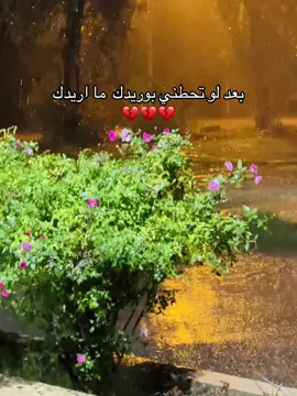 #بعد_لو_تحطني_بوريدك_مااريدك #اشعار_حزينه #قصايد #عتاب #مطر_غابات_الموصل 
