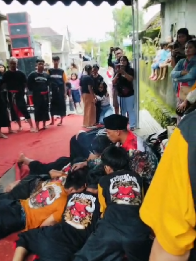 kalapan bringas #putrakencana #bantengan #kesenianofficial #fyp 