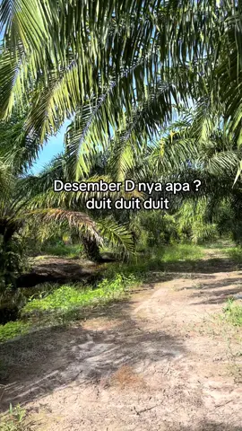 #infohealing #tahunbaru #storysawit #sawitontiktok #sawitriau 