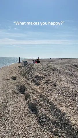 Shells, beach, ocean…Shell Island.🫶☀️🩵🐚 This was on 12/4 with @Everwatercharters. Love shelling in the 10k islands! ✨Code letsgoshelling for $5 off a guided shelling tour. #shelling #happyplace #10kislands 
