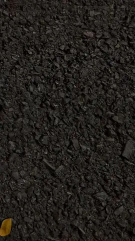 🫣#jupiterz1 #jupiterz1jambi 