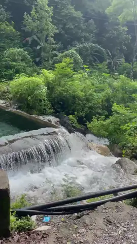 #Same Erlesu☘️🍃🌧️🥶 #tiktoktimorleste🇹🇱🐊foryoupage 