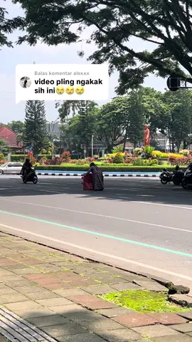 Membalas @alexxx  penguasa jalanan sesungguhnya 