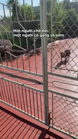 🌷🍃ẻm nhớ tui, tui cũng nhớ ẻm🐕🙆‍♀️ #ngoccungba 