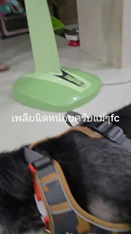 สวัสดีครับผม❤️นายเพลียตื่นเช้าขอนอนๆครับบ😁#น้องเปลี่ยนนาย 