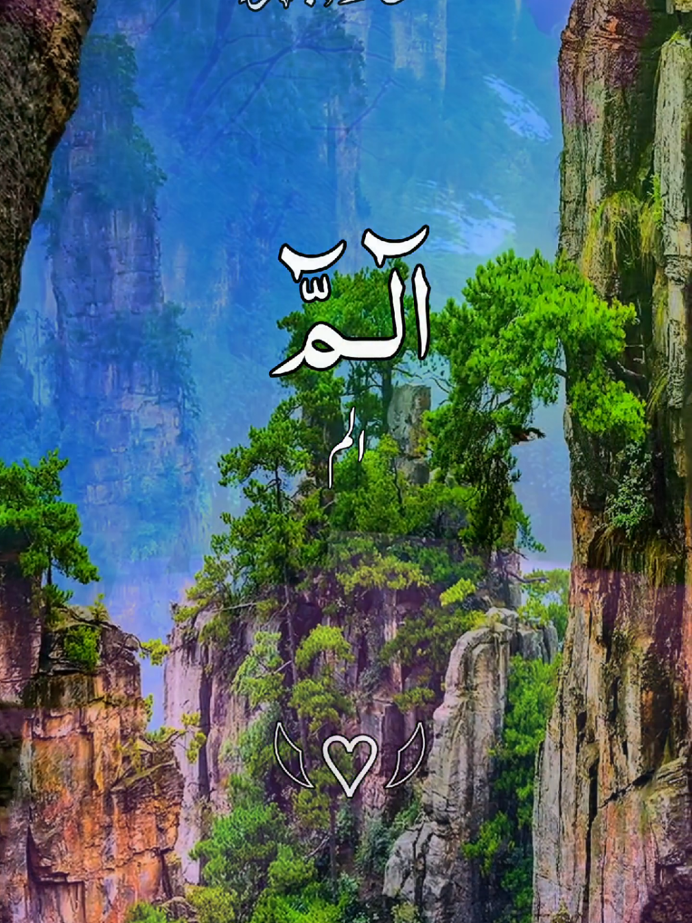 #ارح_سمعك #ارح_قلبك_المتعب_قليلاً🤍💫 #ارح_سمعك_بالقران #راحة_نفسية #foryoupage❤️❤️ #greenscreen #for #videoviral #fyppppppppppppppppppppppp #@TikTok #@TikTok UK #@TikTok Pakistan 