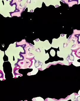 💋👀 #foryou #fyp #for 