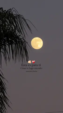 ¿Cómo te hago entender? ❤️‍🩹 • • • #salsadebaul #salsaparaestados #lovequotes #couplegoals #relationshipquotes 
