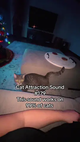 My cat really thought there was kittens in the house she was purring. If you want your cat to come to you use this sound 🐱