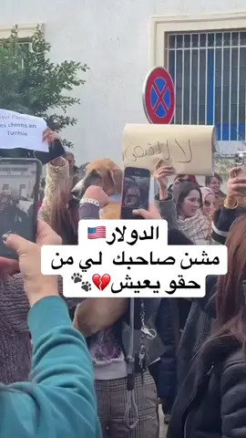 مشن صاحبك لي من حقو يعيش #العيش_في_سلام #explore #fyp #tiktok 