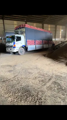 Đồng tiền tuy không có chân,nhưng ta lại mất cả đời để chạy theo nó…!❤️#xuhuongtiktok #tài_xế #congviechangngay #hino500 