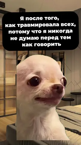 #viralreels #мемы #мем #коты #art #мемыскотами #кот #рилс #asmr #кошак #котейка #кошка #котята #котик #мемчики #мем #вирусныйконтент #видеоюмор #юмор #юморист #приколы #прикол #лайки #лайк #подписка #мама #семья #бытовуха #еда #взгляд