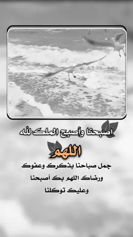 اصبحنا وأصبح الملك لله اللهم جمل صباحنا بذكرك وعفوك ورضاك #إيفان_الجيزانيه #اصبحنا_واصبح_الملك_لله__صباح_الخير #صباح_الخير #اللهم_جمل_صباحنا_بذكرك_وعفوك_ورضاك #دينيه 