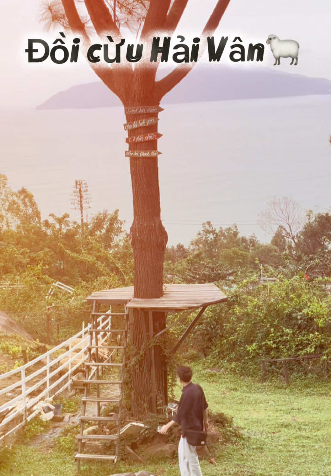 Cuộc đời có bao lâu, cứ đi đâu đó khi lòng còn ham muốn, đôi mắt còn tò mò, và trái tim còn đủ trẻ #romlangthang #chill #xuhuong #CapCut #fyp 