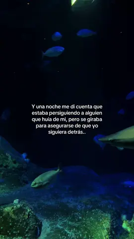 Cómo estás?  #mujereslatinas #aquarium #frasesdeamor #compartir #fyppppppppppppppppppppppp 