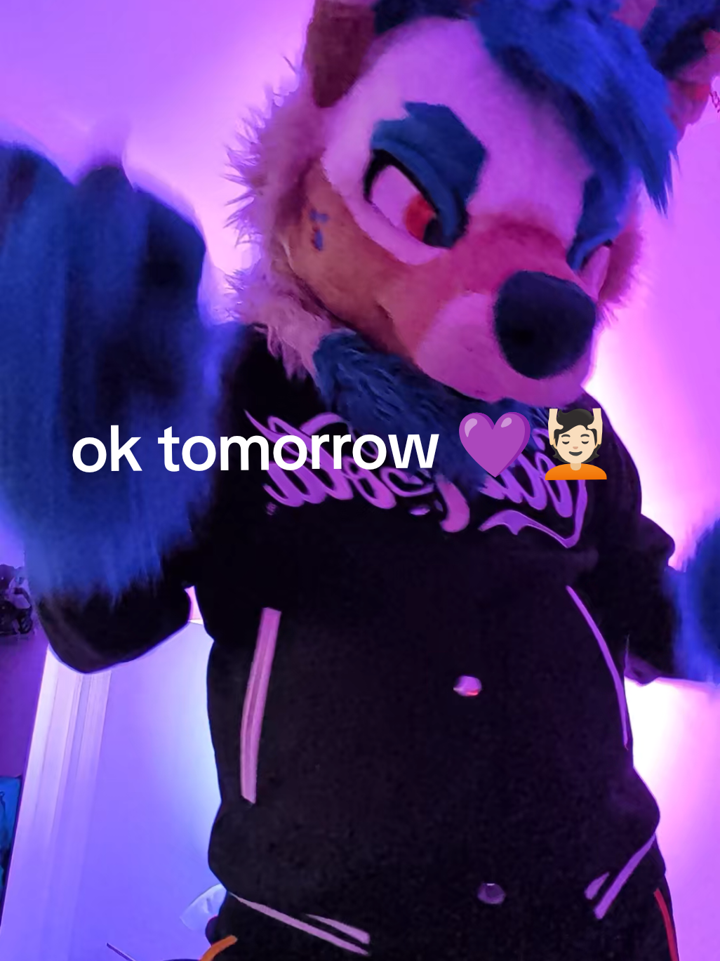 amo este remix wey JAJAJA hasta que hace algo bien polancoas 💜💜 será que madre kiyo me vuelva a noticear? 👀 @Kiyo @Kiyo @Polancoas  amigos vamos a hacer una fiesta para escuchar crujin y the backrooms ep sisisis 🙂‍↕️🤓 los amo besos muak bye #yp #wolf #furry #fursuit #kiyo 