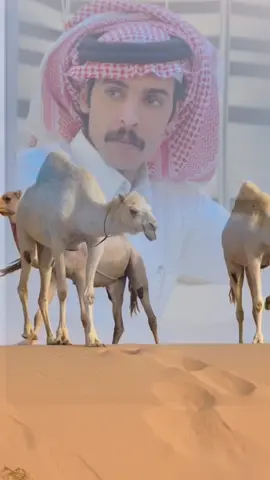 #اكسبلور #اكسبلورexplore #وليدالبحيح #شاعر_المليون #ا 