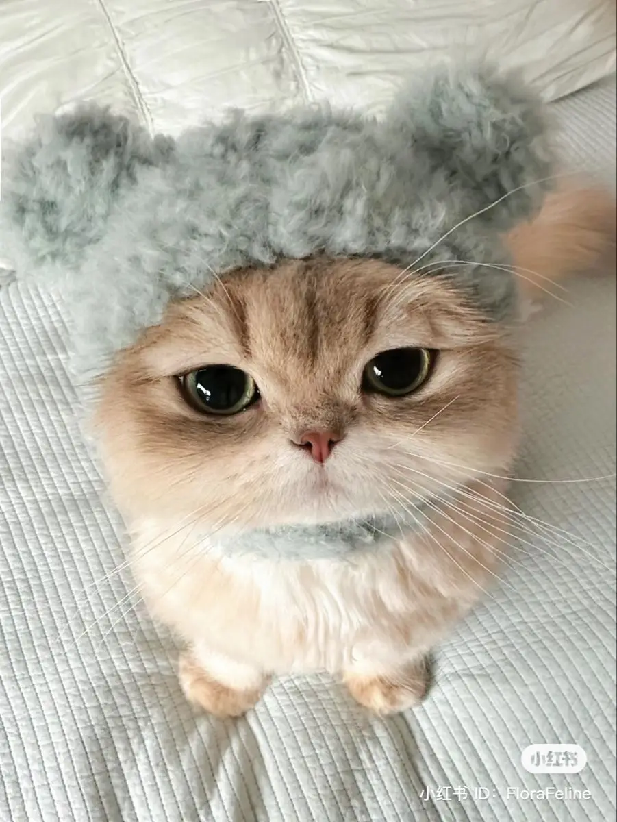 #animeedit #anime #fyp 