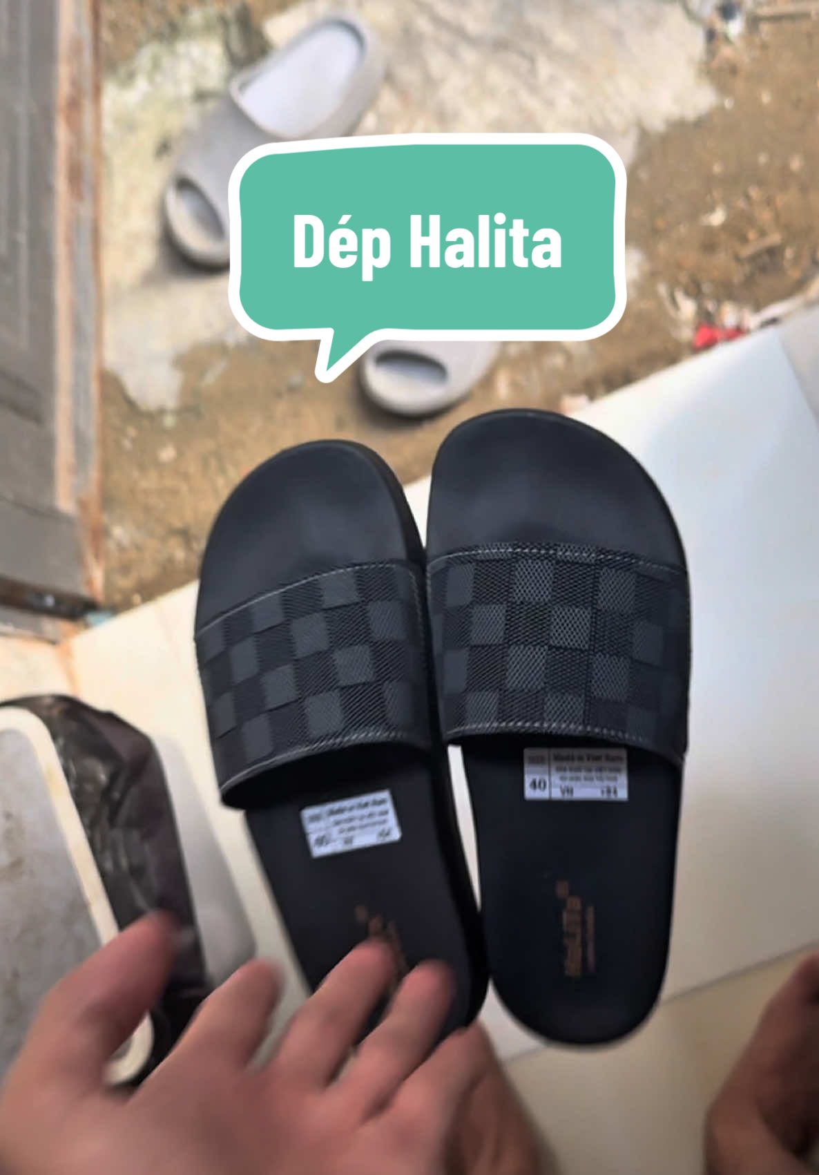 #depdanam #depdihoc #depdichoi #dephalita #halitastore 