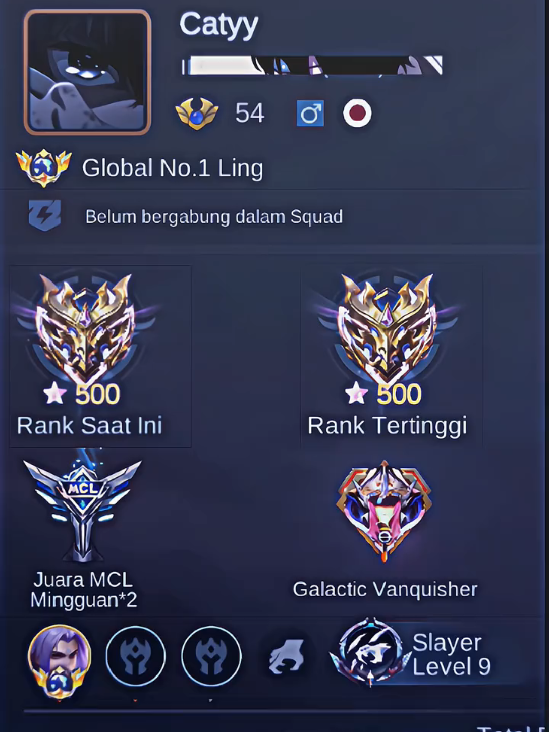 ngpain aja rank masi di bwh 500 #701nyctophilia