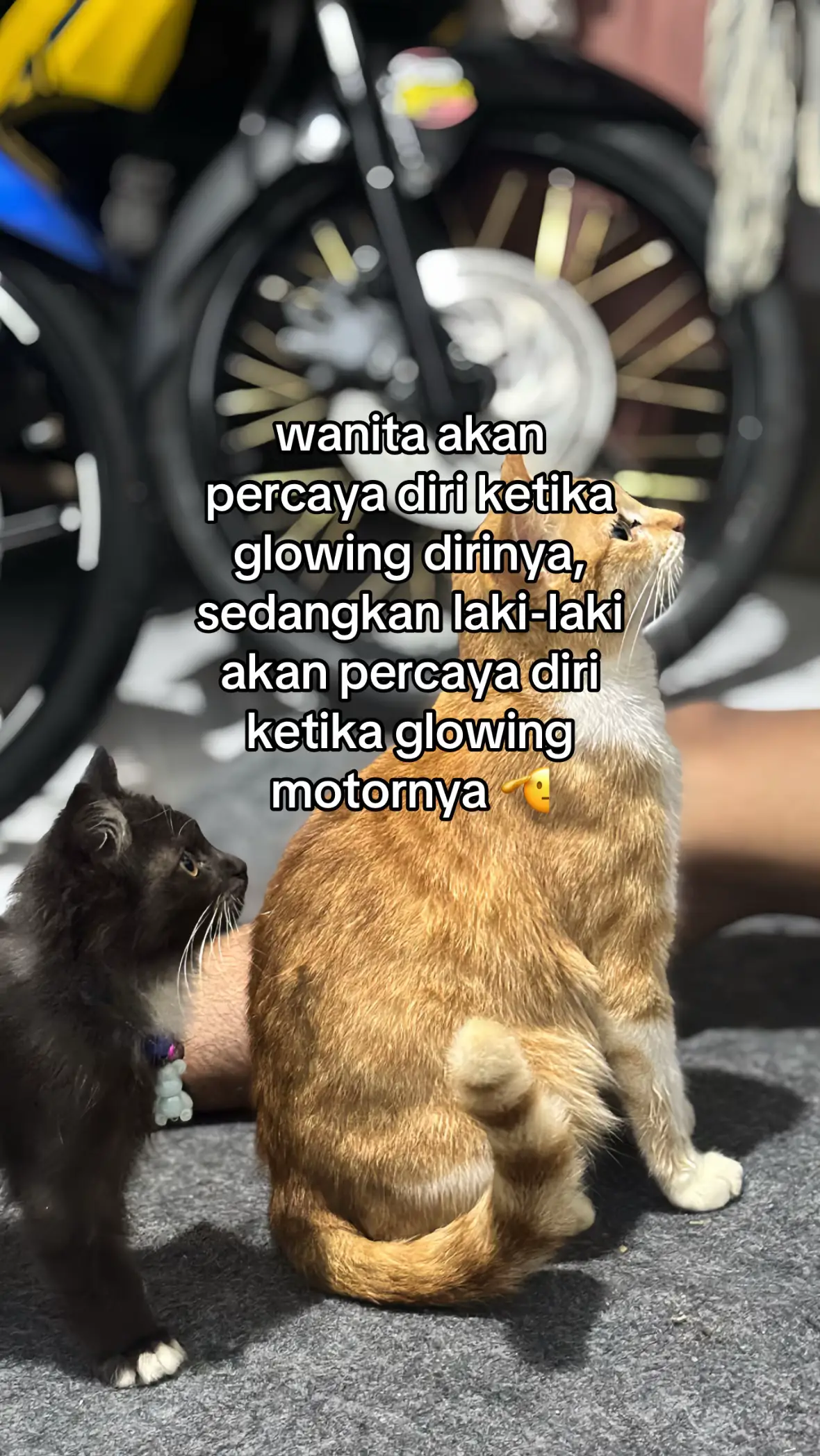 Kinyis kinyis #fyp #vario #vario125 #variomodifikasi #ledoldgank 