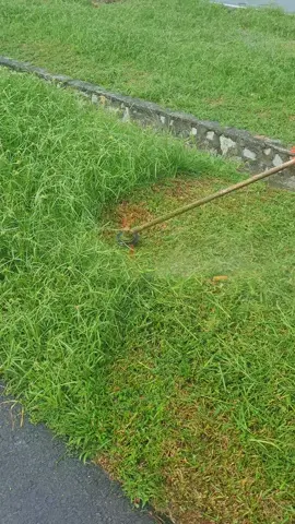 Grass Cutting ASMR Experience#grasscutting, #asmr, #satisfying, #lawncare, #oddlysatisfying @“QAITADAN” фильмі🌊 @𝐺𝑟𝑎𝑠𝑠 𝑐𝑢𝑡𝑡𝑖𝑛𝑔 @𝐺𝑟𝑎𝑠𝑠 𝑐𝑢𝑡𝑡𝑖𝑛𝑔 