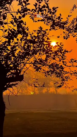 #shabanhaider1000✅🌱 #foryoupage #unfrezzmyaccount 