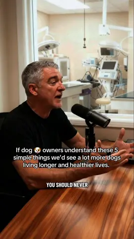 Please NEVER 📛 have a dog 🐶 if you don’t know these simple basic things ❗️☝🏼#dog #dogs #pets #pet #dogsoftiktok 