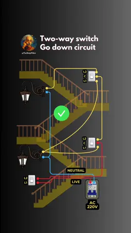 Two way - switch simulation.. 👣Go down schematic diagram 🫵 #electric #diendandung #godown #twowayswitch #tuduynho 