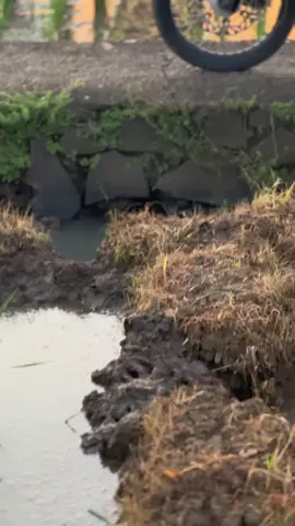 #303style #vegarnew #5tpmenolakpunah 