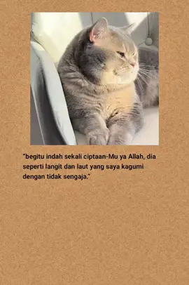 #katakatasedih #katakatabijak #fyp #viral #laguindia 