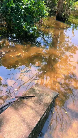 #ngập_hết_đường  #tràvinh84 