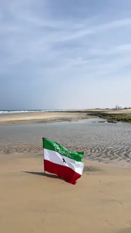 ilaahey cadawgaaga ha jabiyo calanyahow 💚🤍❤️