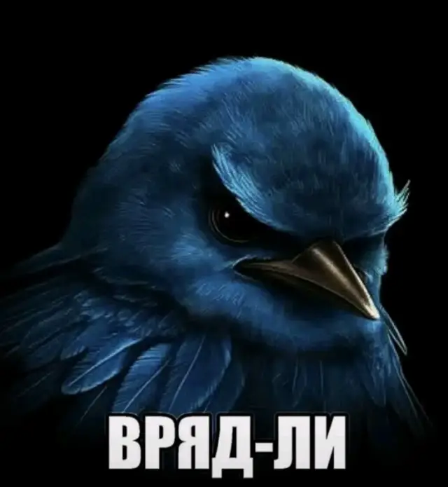 #врядли #мем #птица #birdgame3 