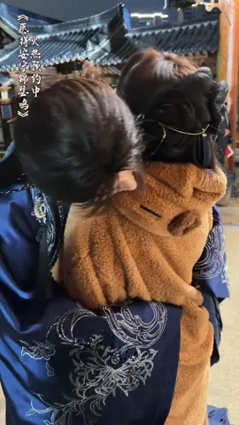 หนาวๆๆ กอดกัน กอดกัน 😊😊 Cr. 爱磕cp的猫猫 #Zhuyiwei #จูอี้เว่ย  #Baixinyi #ไป๋ซินอี๋  #愿得安宁锦瑟鸣 