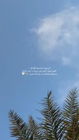 ‏أصبحنا وأصبح الملك لله .. ‏ اللهم اجعل الخير في دروبنا و ازهر أيامنا  ‏و جملها بفضلك يا أرحم الراحمين ..✨️🤍