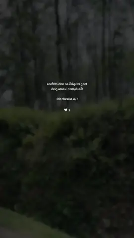 සහතික ඇත්ත 🥹😪. #fyp #fypシ゚ #fypppppppppppppppppppp #viral #viralvideo 