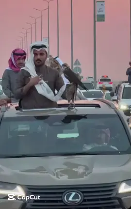 #جواهر_الذيابي #غازي_الذيابي #الصياهد #الطائف #الطائف 