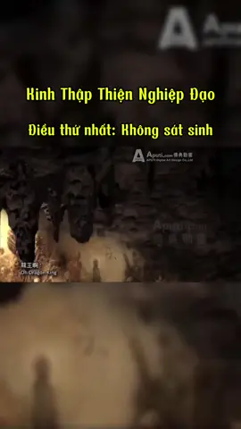 Trên đời này không có gì vui mừng hơn việc được sống, cũng chẳng có ân huệ nào hơn ân huệ không hại mạng. Một con chim sắp bị cắt cổ nhổ lông khi được thả ra có thể nhảy nhót, bay lượn giữa khoảng trời rộng lớn hay một con cá sắp bị đánh vảy nếu được thả ra thì có thể vùng vẫy, bơi lội tự do giữa khoảng nước mênh mông thì hạnh phúc biết nhường nào. Vào thời khắc sinh tử mà thoát nạn bị giết hại chính là niềm hạnh phúc lớn lao của muôn loài. Do đó, không sát sanh mà phóng sanh là nghiệp lành đứng đầu trong Thập Thiện Nghiệp.  #phatphap #nammoadidaphat #nhanqua #thapthiennghiep 