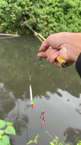 mancing itu bukan hanya soal ikan.. #ikan #mancing 