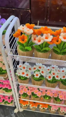 Chậu hoa mini kẽm nhung 😍🥰🌷 có nhận sỉ ạ 🌷#viral #xh #hoakemnhung #tulipkemnhung 